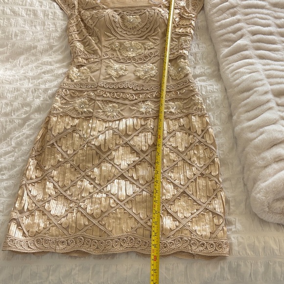 Sue Wong Beige Lace Mini Dress - Picture 10 of 11